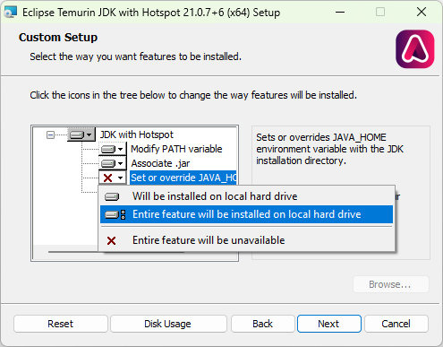 The custom setup screen for Eclipse Temurin JDK.